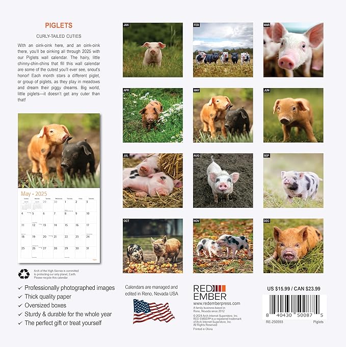 RED EMBER Piglets 2025 Wall Calendar 12 Month | 12" x 24" Open | Thick & Sturdy Paper | Giftable | Calendar 2025