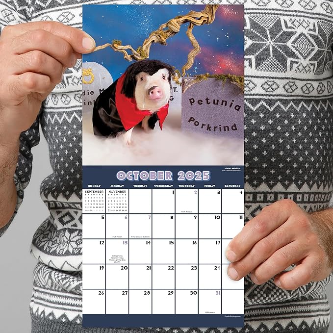 TF PUBLISHING 2025 Playful Pigs Mini Calendar Case of 90 - Large Grids for Appointments and Scheduling - Vertical Monthly Wall Calendar - Home and Office Organization - Premium Gloss Paper - 7"x7"