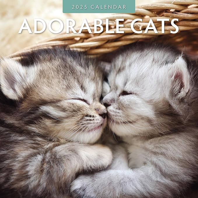 Adorable Cats -2025 Square Wall Calendar - by Red Robin Publishing
