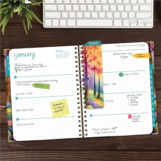 HARDCOVER 2025 Planner, 8.5"x11": 14 Months (November 2024 - December 2025), Daily Weekly Monthly Planner, Yearly Agenda, Bookmark, Pocket Folder and Sticky Note Set (Rainbow Trail)
