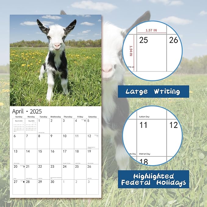 2025 Wall Calendar,Calendar 2025, November 2024 - December 2025, Wall Calendar Baby Goats, 12" x 24" Opened,Full Page Months Thick & Sturdy Paper for Calendar Organizing & Planning