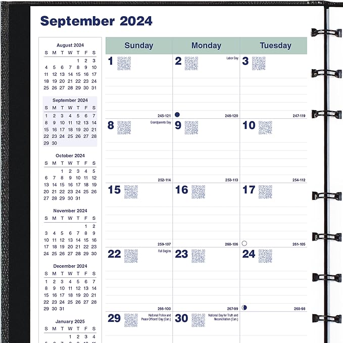 Blueline® 2025 Plan & Link™ CoilPro™ Monthly Planner, 16 Months, September 2024 to December 2025, Twin-Wire Binding, 9.25" x 7.25", Black, English (C1200C.81T-25)