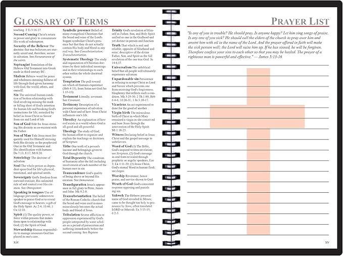 2025 Datebook & City Themed Planner – Resource Guide with Daily, Weekly & Monthly Views – 3-Year Reference Calendar - Multi-Purpose Travel Notebook Guide & Adventure Diary (Day-by-day 2025)