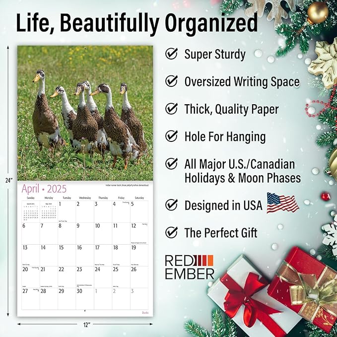 RED EMBER Ducks 2025 Wall Calendar 12 Month | 12" x 24" Open | Thick & Sturdy Paper | Giftable | Calendar 2025