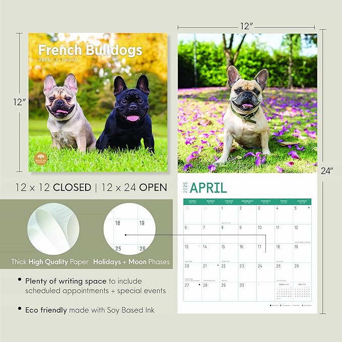 2025 French Bulldogs Monthly Wall Calendar by Bright Day, 12 x 12 Inch Cute Dog Breed Gift