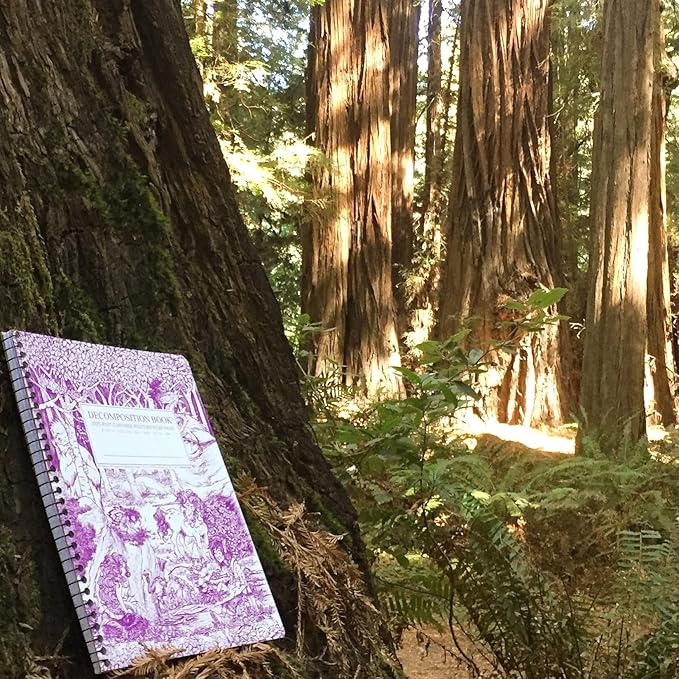 Decomposition Fairy Tale Forest College Ruled Spiral Notebook - 9.75 x 7.5 Journal with 160 Lined Pages - 100% Recycled Paper - Cute Notebooks for School Supplies, Home & Office - Made in USA