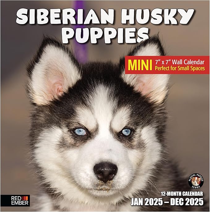 RED EMBER Siberian Husky Puppies Mini 2025 Wall Calendar 12 Month | 7" x 14" Open | Thick & Sturdy Paper | Giftable | Calendar 2025