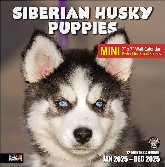 RED EMBER Siberian Husky Puppies Mini 2025 Wall Calendar 12 Month | 7" x 14" Open | Thick & Sturdy Paper | Giftable | Calendar 2025