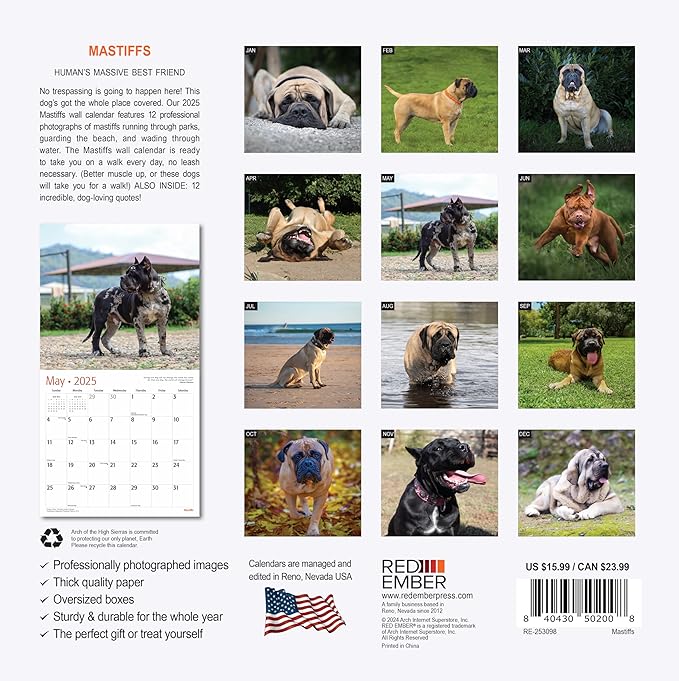 RED EMBER Mastiffs 2025 Wall Calendar 12 Month | 12" x 24" Open | Thick & Sturdy Paper | Giftable | Calendar 2025