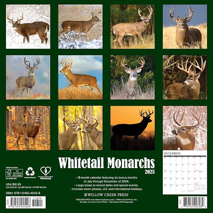 Willow Creek Press Whitetail Monarchs Monthly 2025 Wall Calendar (12" x 12")