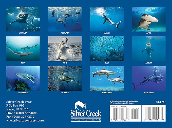 2025 Sharks Wall Calendar