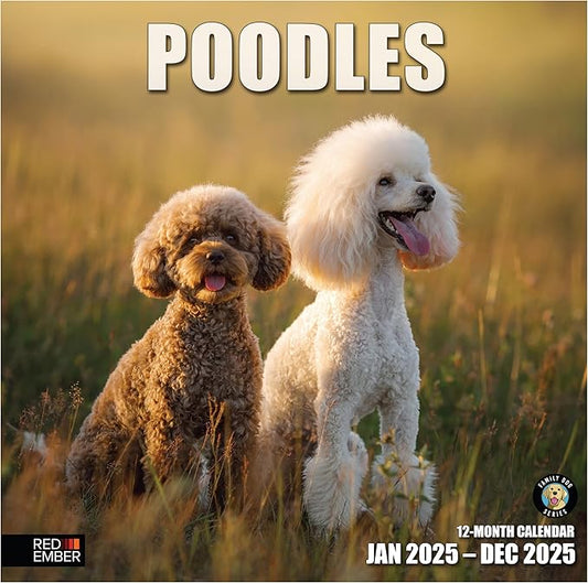 RED EMBER Poodles 2025 Wall Calendar 12 Month | 12" x 24" Open | Thick & Sturdy Paper | Giftable | Calendar 2025