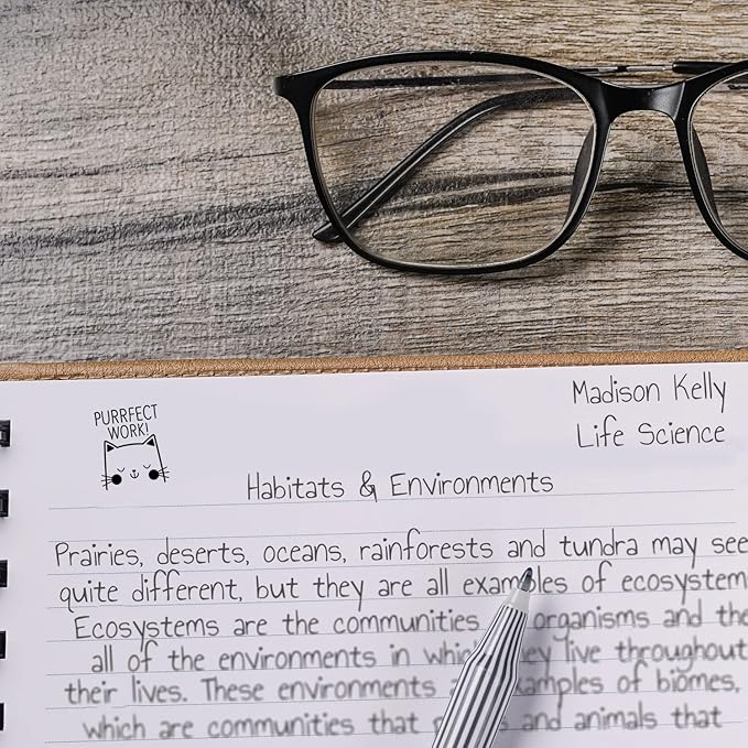 Perfect Work Kitty Cat Themed Stamp / 2000 Plus Self Inking Teacher Animal Stamper / 9/16" Small Black Imprint Cat Pun Planner Worksheet Homework Classroom Stamp