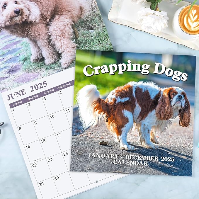 Gag Gifts - Pooping Dogs Calendar, 2025 Wall Calendar from January 2025 to December 2025, Funny Dogs Calendar, Funny Gag Gifts for Family, Friends, 11.8'' x 11.8''