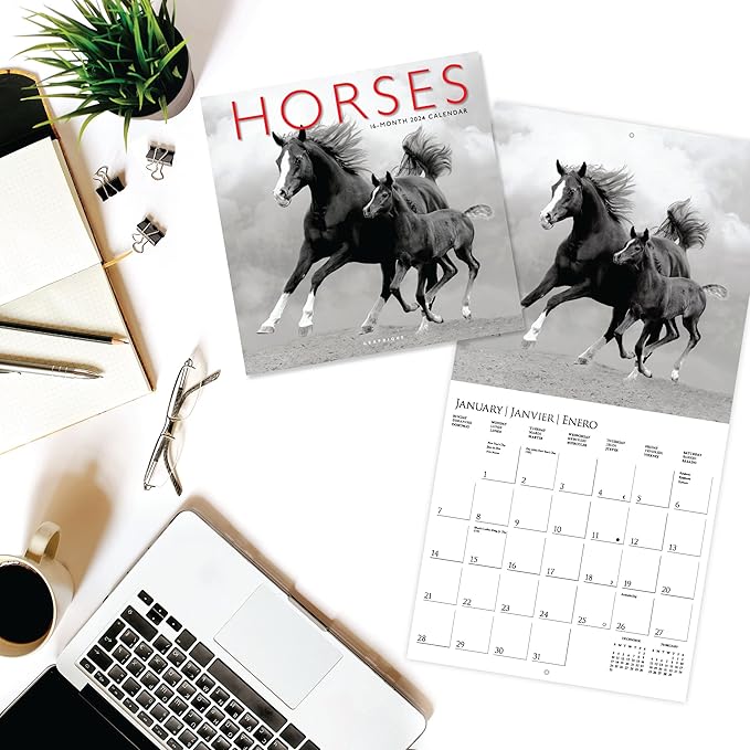 Graphique 2024 Horses Wall Calendar | 12” x 12” | Thick Paper | Home & Office Organizer | Large Monthly Grid | 3 Languages & Marked Holidays | 4 Month Preview Page for 2025