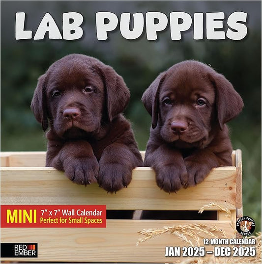 RED EMBER Lab Puppies Mini 2025 Wall Calendar 12 Month | 7" x 14" Open | Thick & Sturdy Paper | Giftable | Calendar 2025