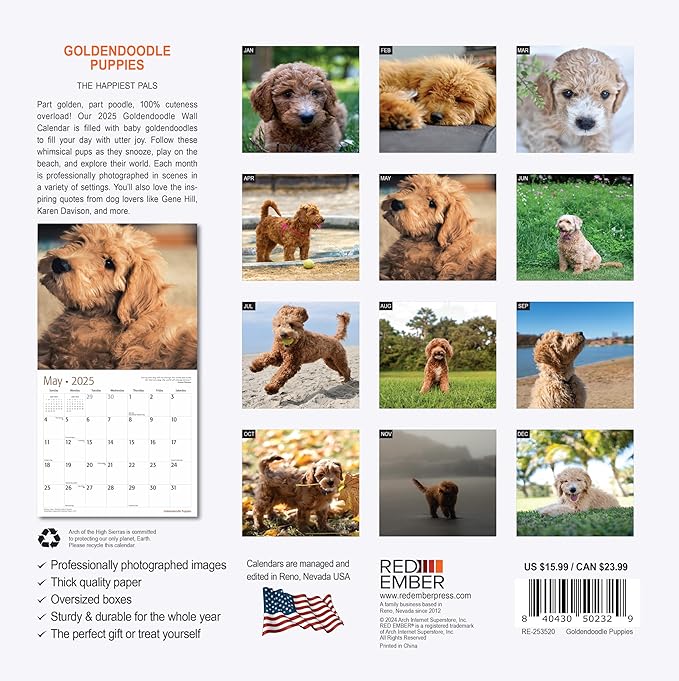 RED EMBER Goldendoodle Puppies 2025 Wall Calendar 12 Month | 12" x 24" Open | Thick & Sturdy Paper | Giftable | Calendar 2025