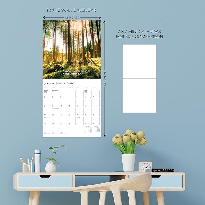 Graphique 2023 Wall Calendar Into the Woods | 12” x 12” | Thick Paper | Home & Office Organizer | Large Monthly Grid | 3 Languages & Marked Holidays | 4 Month Preview Page for 2024
