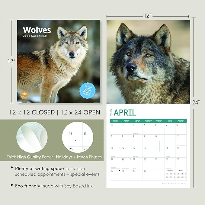 2025 Wolves Monthly Wall Calendar by Bright Day, Includes Over 300 Stickers, 12 x 12 Inch
