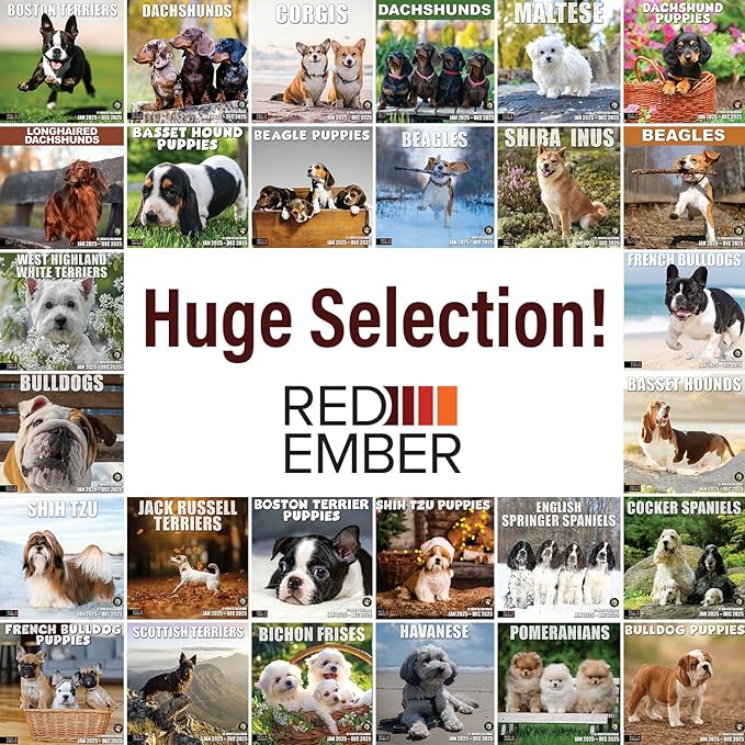 RED EMBER Basset Hound Puppies 2025 Wall Calendar 12 Month | 12" x 24" Open | Thick & Sturdy Paper | Giftable | Calendar 2025