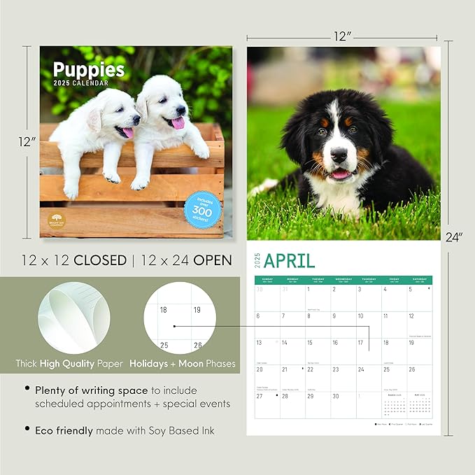 2025 Puppies Monthly Wall Calendar by Bright Day, Includes Over 300 Stickers, 12 x 12 Inch