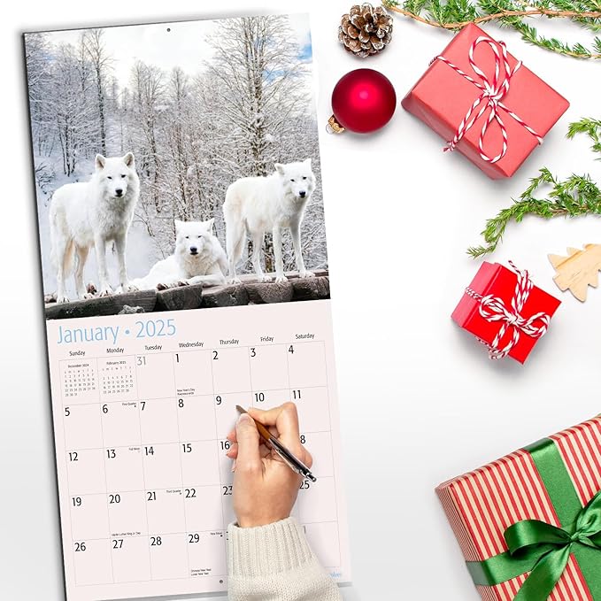 RED EMBER Select - Wolves 2025 Wall Calendar 12 Month | 12" x 24" Open | Thick & Sturdy Paper | Giftable | Calendar 2025