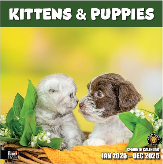 RED EMBER Select - Kittens & Puppies 2025 Wall Calendar 12 Month | 12" x 24" Open | Thick & Sturdy Paper | Giftable | Calendar 2025
