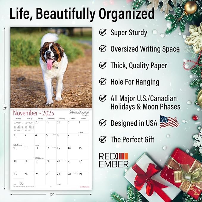 RED EMBER Saint Bernards 2025 Wall Calendar 12 Month | 12" x 24" Open | Thick & Sturdy Paper | Giftable | Calendar 2025