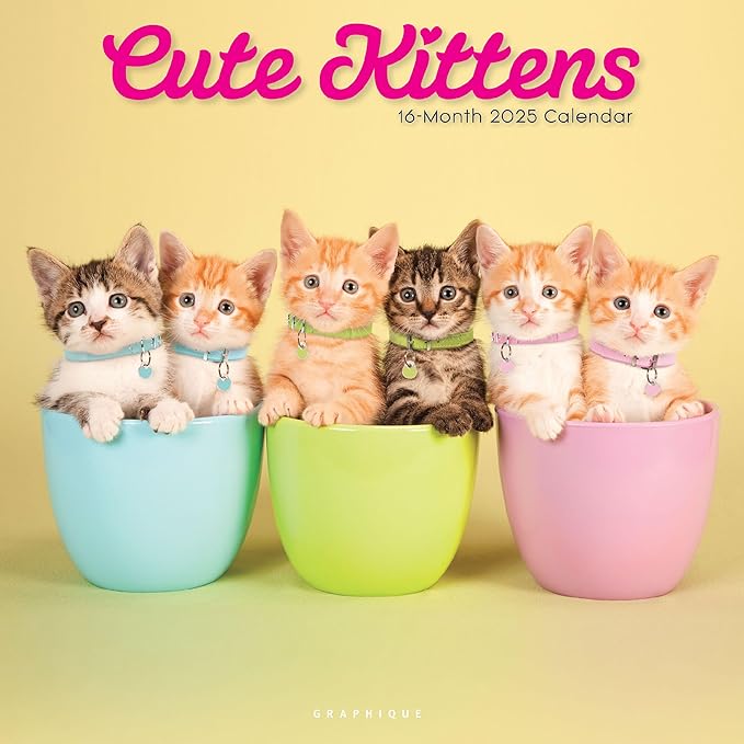 Graphique 2025 Cute Kittens Wall Calendar | 12” x 12” | Thick Paper | Home & Office Organizer | Large Monthly Grid | 3 Languages & Marked Holidays | 4 Month Preview Page for 2026