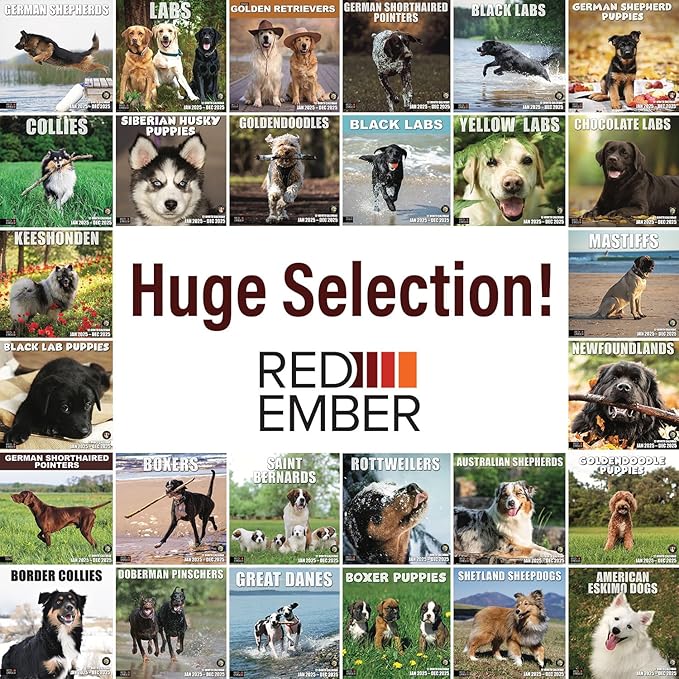 RED EMBER Newfoundlands 2025 Wall Calendar 12 Month | 12" x 24" Open | Thick & Sturdy Paper | Giftable | Calendar 2025