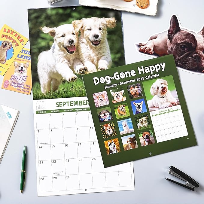 2025 Wall Calendar - Funny Dogs Wall Calendar 2025, 12" x 24" (Open), Cute Calendar 2025, Jan. 2025 - Dec. 2025, 12-Month Calendar, Thick Paper, Hanging Hole, Holidays, Unruled Blocks