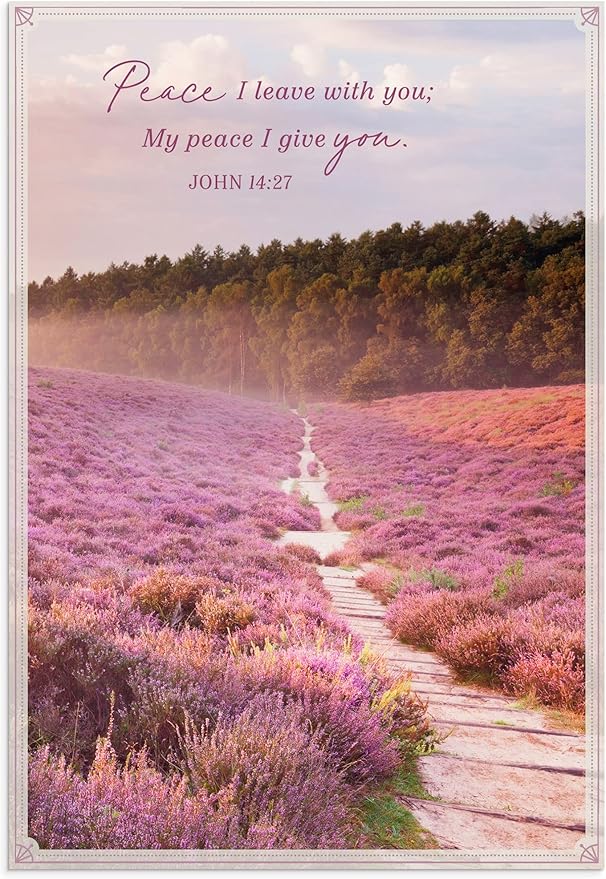 DaySpring - Sympathy - Blessed are Those Who Mourn - 4 Nature Landscape Design Assortment with Scripture - 12 Sympathy Boxed Cards & Envelopes (U0060)