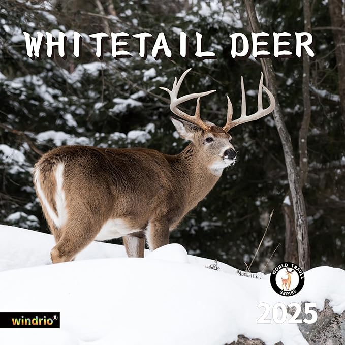 2025 Wall Calendar,Calendar 2025, November 2024 - December 2025, Wall Calendar Whitetail Deer, 12" x 24" Opened,Full Page Months Thick & Sturdy Paper for Gift Perfect Calendar Organizing & Planning