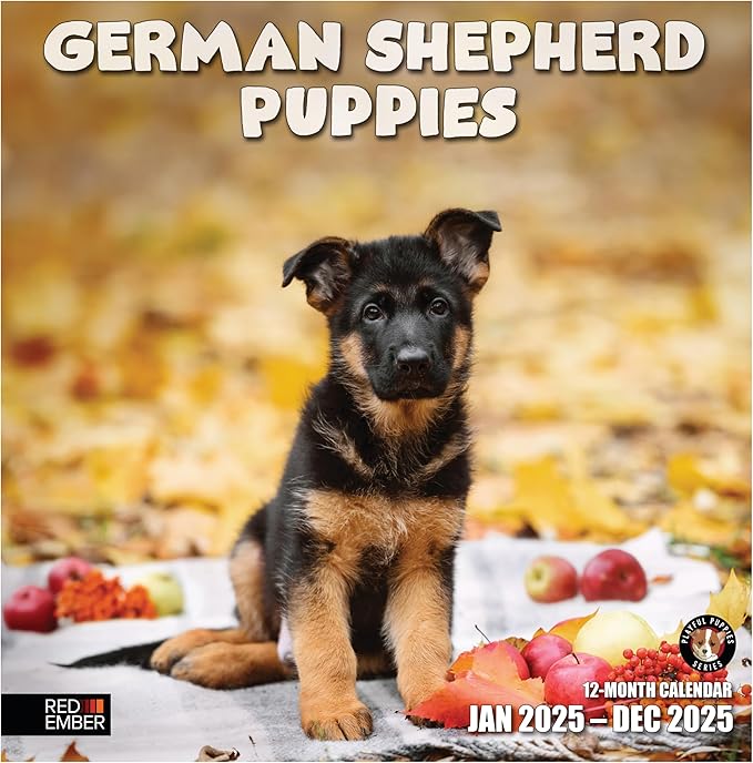 RED EMBER German Shepherd Puppies 2025 Wall Calendar 12 Month | 12" x 24" Open | Thick & Sturdy Paper | Giftable | Calendar 2025