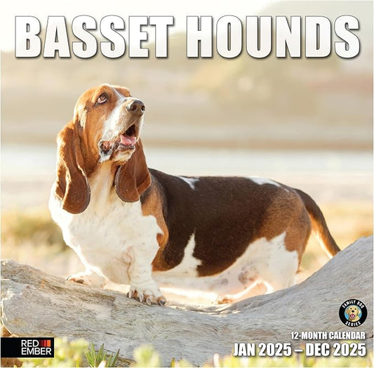 RED EMBER Basset Hounds 2025 Wall Calendar 12 Month | 12" x 24" Open | Thick & Sturdy Paper | Giftable | Calendar 2025
