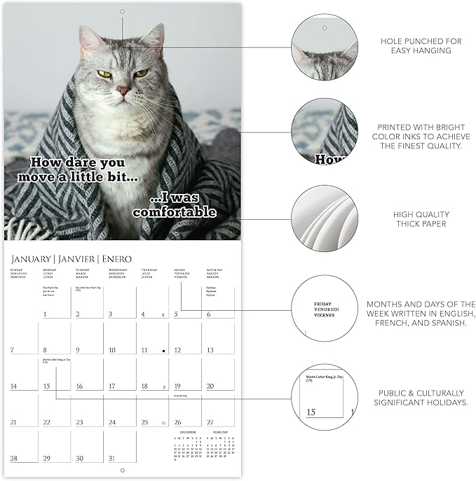 Graphique 2024 Nuthin But Trouble Wall Calendar | 12” x 12” | Thick Paper | Home & Office Organizer | Large Monthly Grid | 3 Languages & Marked Holidays | 4 Month Preview Page for 2025