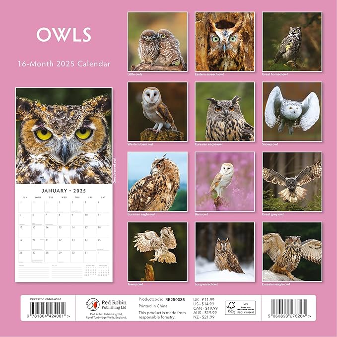 Red Robin 2025 Owls Monthly Wall Calendar | 12" x 24" Open | Premium Thick & Sturdy Paper | Hangable 12 Month Calendar | Plastic Free | 4 Month Transition Page for 2024