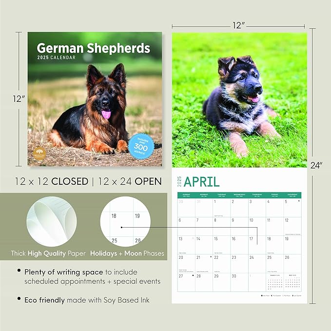 2025 German Shepherds Monthly Wall Calendar by Bright Day, Includes Over 300 Stickers, 12 x 12 Inch