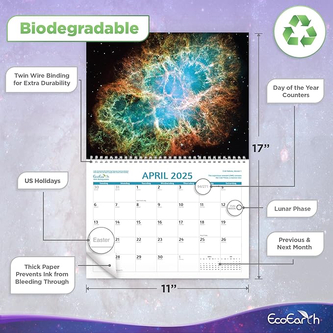EcoEarth - Biodegradable 11x17 Inch (Open) 12-Month Vertical Hanging Wall Calendar - 2025 Monthly Calendar - Space