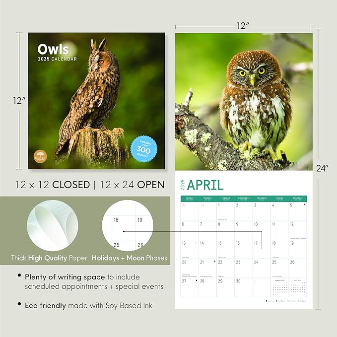 2025 Owls Monthly Wall Calendar by Bright Day, Includes Over 300 Stickers, 12 x 12 Inch
