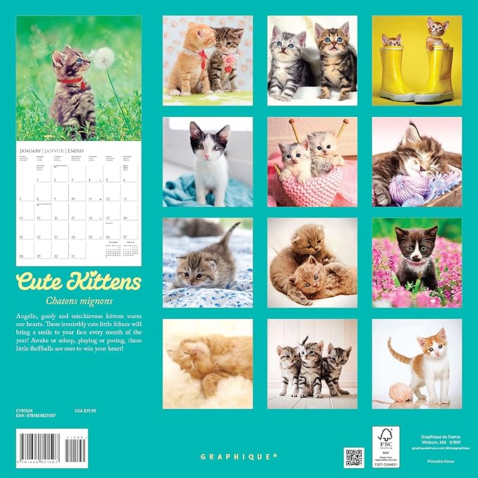 Graphique 2024 Cute Kittens Wall Calendar | 12” x 12” | Thick Paper | Home & Office Organizer | Large Monthly Grid | 3 Languages & Marked Holidays | 4 Month Preview Page for 2025