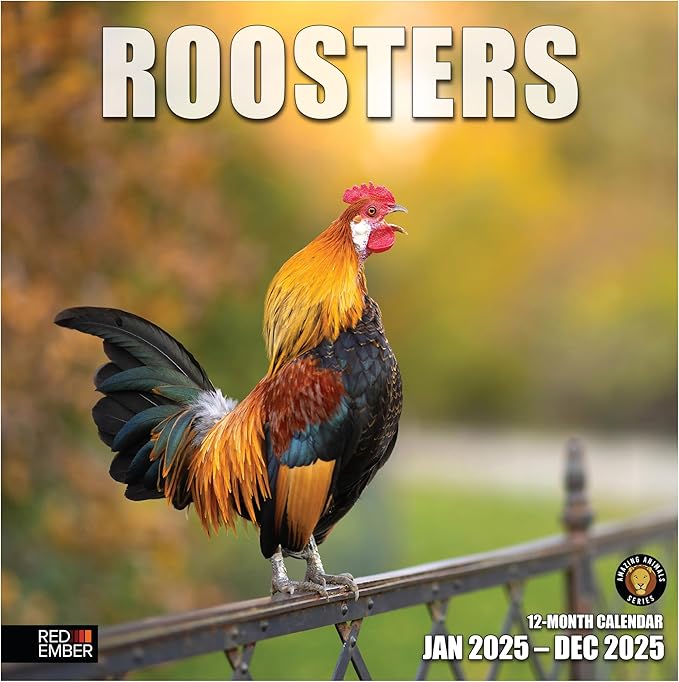 RED EMBER Roosters 2025 Wall Calendar 12 Month | 12" x 24" Open | Thick & Sturdy Paper | Giftable | Calendar 2025