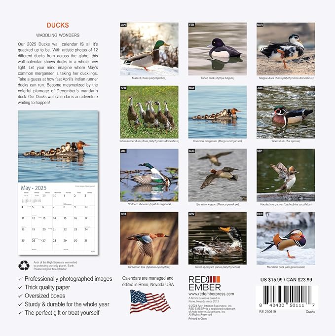 RED EMBER Ducks 2025 Wall Calendar 12 Month | 12" x 24" Open | Thick & Sturdy Paper | Giftable | Calendar 2025