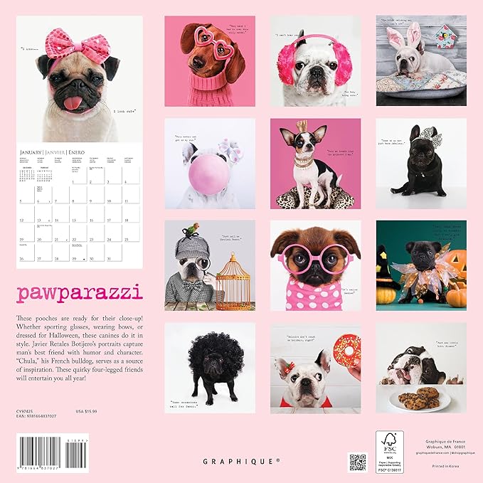Graphique 2025 Pawparazzi Wall Calendar | 12” x 12” | Thick Paper | Home & Office Organizer | Large Monthly Grid | 3 Languages & Marked Holidays | 4 Month Preview Page for 2026