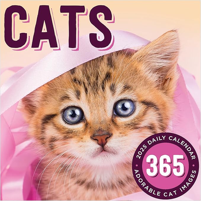 TF PUBLISHING 2025 Cat A Day Daily Desktop Calendar Case of 32 - Home and Office Organization - Over 300 Full-Color Easy Tear-Off Pages - Attached Fold-Out Cardboard Easel for Desks - 5.25” x 5.25”