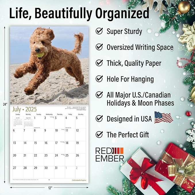 RED EMBER Goldendoodle Puppies 2025 Wall Calendar 12 Month | 12" x 24" Open | Thick & Sturdy Paper | Giftable | Calendar 2025
