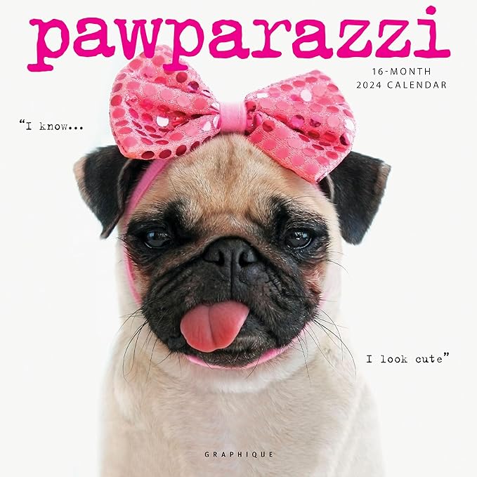 Graphique 2025 Pawparazzi Wall Calendar | 12” x 12” | Thick Paper | Home & Office Organizer | Large Monthly Grid | 3 Languages & Marked Holidays | 4 Month Preview Page for 2026