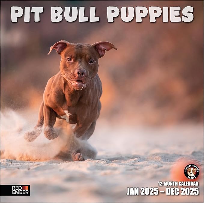 RED EMBER Pit Bull Puppies 2025 Wall Calendar 12 Month | 12" x 24" Open | Thick & Sturdy Paper | Giftable | Calendar 2025