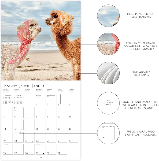 Graphique 2025 Little Alpaca on the Prairie Wall Calendar | 12” x 12” | Thick Paper | Home & Office Organizer | Large Monthly Grid | 3 Languages & Marked Holidays | 4 Month Preview Page for 2026