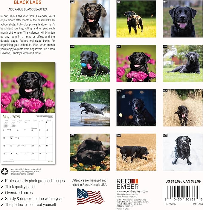 RED EMBER Black Labs 2025 Wall Calendar 12 Month | 12" x 24" Open | Thick & Sturdy Paper | Giftable | Calendar 2025